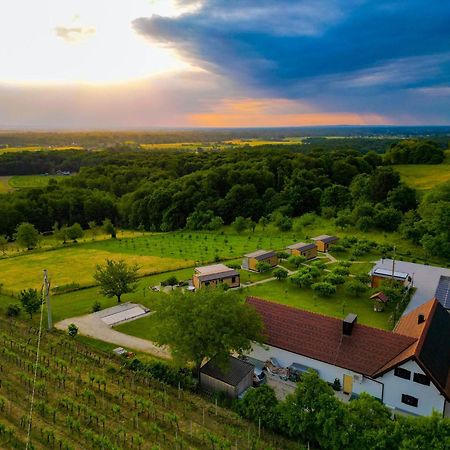 Vinea Panonika Wine & Mind Retreat Radenci Exterior foto