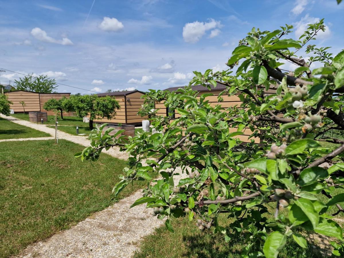 Vinea Panonika Wine & Mind Retreat Radenci Exterior foto